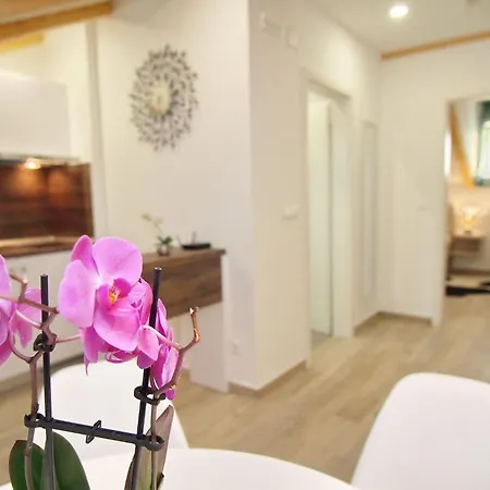 Sweet Escape - With Terrace And Sea View 2 Lejlighed Dubrovnik